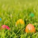 部分复活节彩蛋藏在草丛中